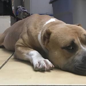 Meet your Posher, Randy